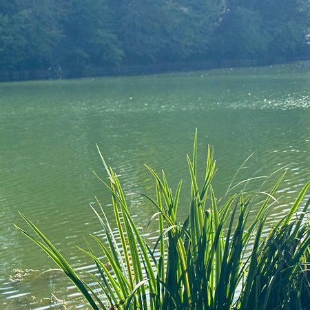 Lac De Lumiere. Relax With Rural Lakeside Living Herry Exterior foto